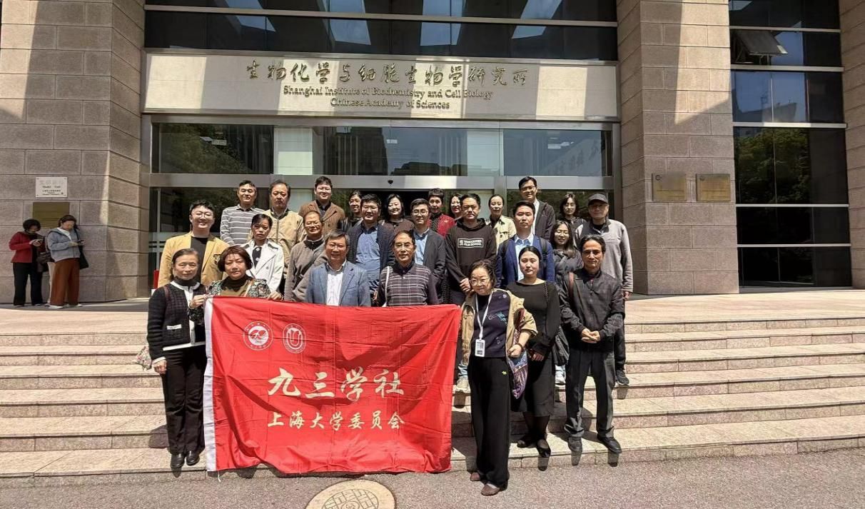 凯时KB88·(中国集团)官方网站